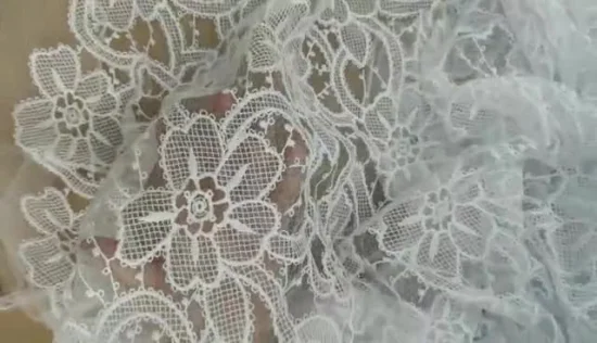 Fashion Polyester Cotton Embroidery Lace Fabric for Dress